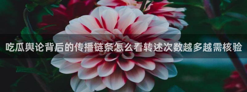 黑料爆料热门榜