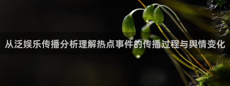 网络黑料资讯