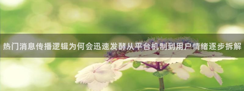 黑料爆料网络热搜榜