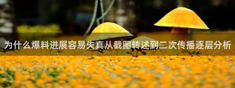 黑料爆料资讯榜：为什么爆料进展容易失真从截图转述到二次传播逐层分析