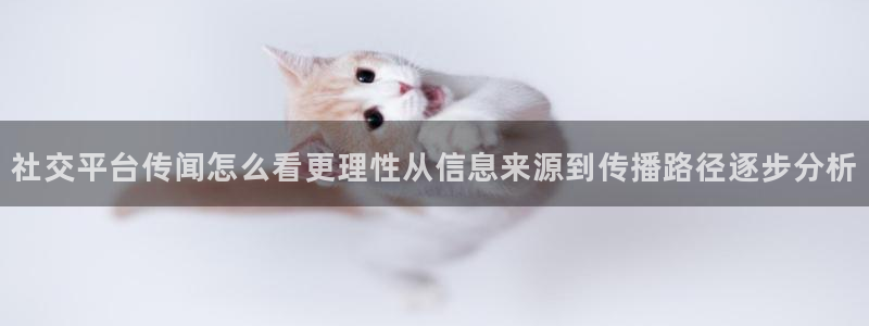 热点资讯排行