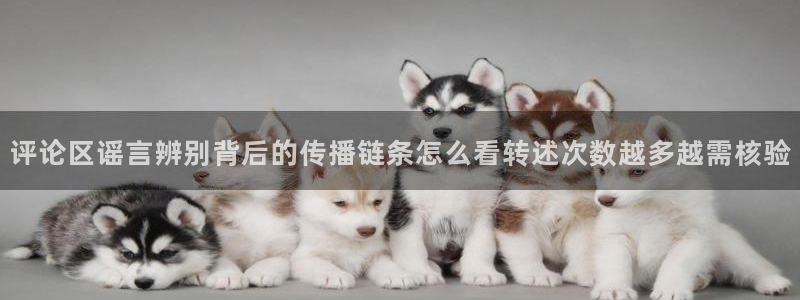 黑料爆料资讯：评论区谣言辨别背后的传播链条怎么看转述次数越多越需核验