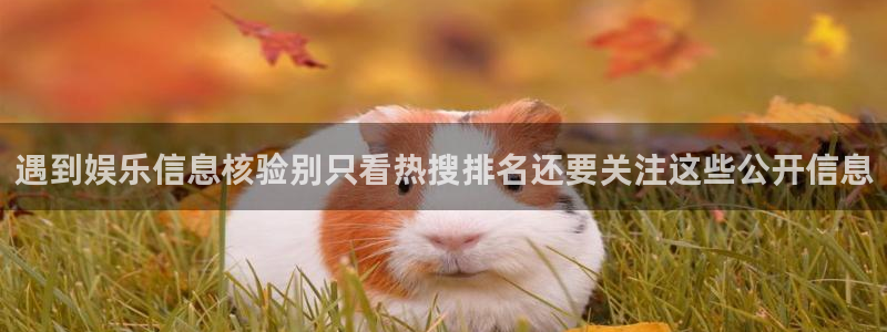 黑料爆料资讯搜索：遇到娱乐信息核验别只看热搜排名还要关注这些公开信息