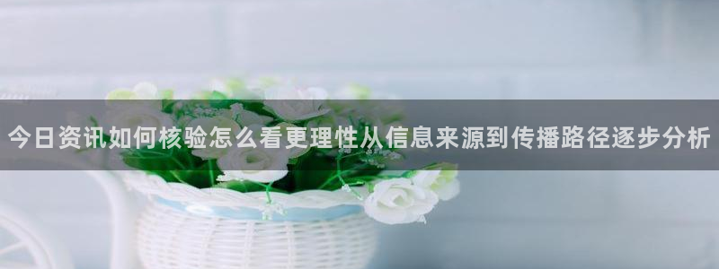 黑料爆料资讯搜索