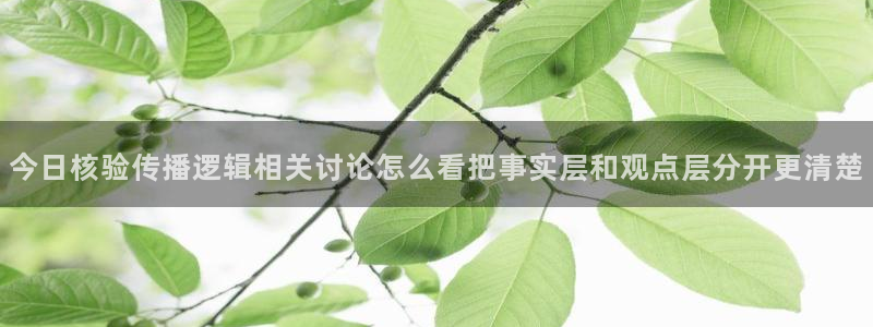 黑料爆料内容大全