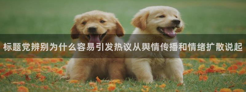 热点爆料事件