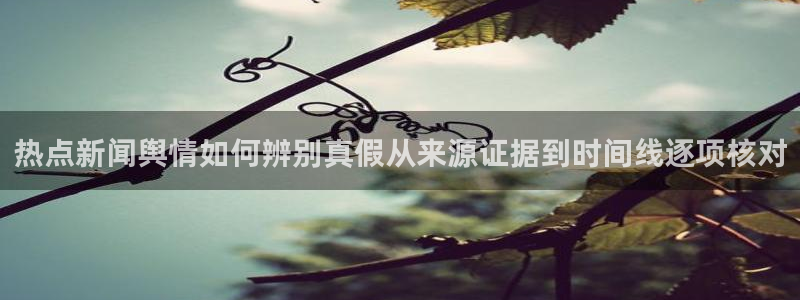 热点爆料事件