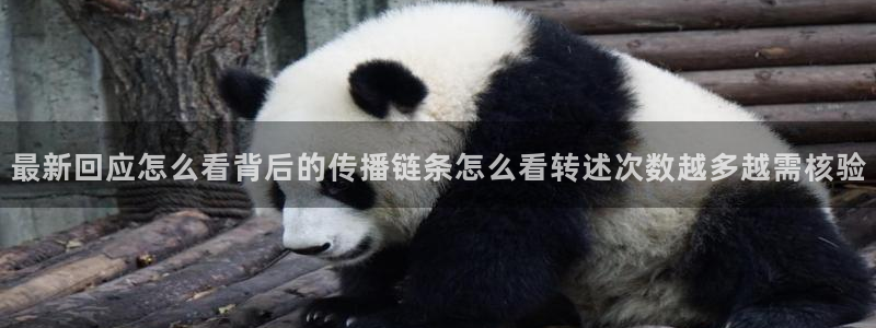 每日热点榜